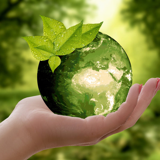 Chocolatey Clare Sustainability Charter